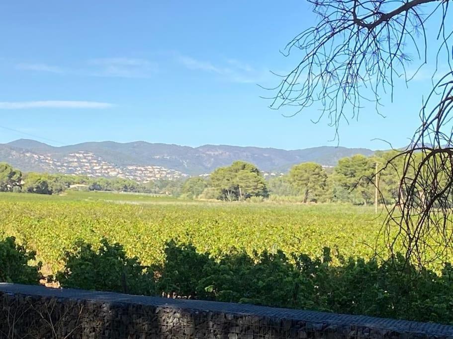 Ravissant T3 En Duplex Proche Mer La Londe-les-Maures Buitenkant foto